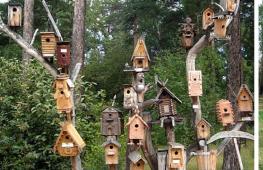 DIY birdhouse made of wood for starlings and small useful birds Titmouse and Spetsstroy