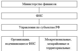 Налоговые органы российской федерации