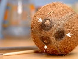How to make coconut at home