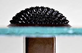 Ferrofluid - what is it and how to make ferrofluid yourself DIY magnetic powder