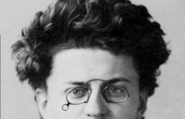 Trotsky Lev Davidovich activities